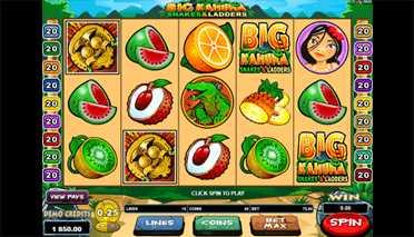 Big Kahuna Snakes And Ladders